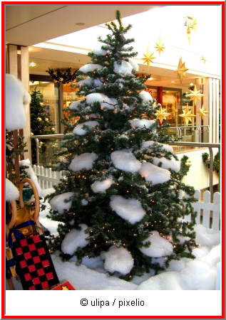 weihnachtsbaum2.png
